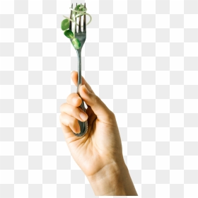 Vote With Fork - Tree, HD Png Download - vhv