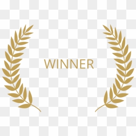 Award Winning Png Transparent Image - Award Winning Png, Png Download - winner logo png