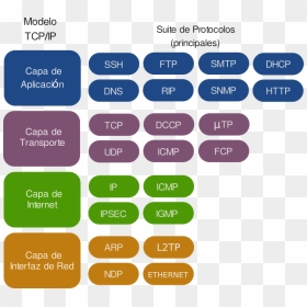 Suite De Protocolos Tcpip - Protocolos Del Modelo Tcp Ip, HD Png Download - suite png