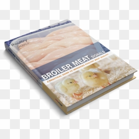 Practical Guide To Improving Poultry Meat Quality - Bánh, HD Png Download - broiler png