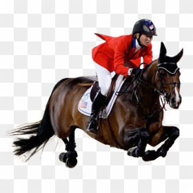 Png Horse Riding Transparent Horse Riding Images - Equestrian Png, Png Download - horse riding png