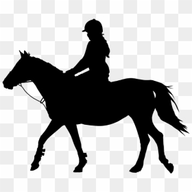 Horse&rider Equestrian Silhouette Clip Art - Horse Riding Clip Art, HD Png Download - horse riding png