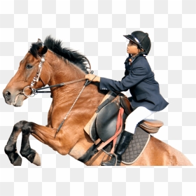 Riding Horse Png, Transparent Png - horse riding png