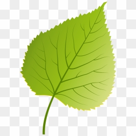 Illustration, HD Png Download - plant png image