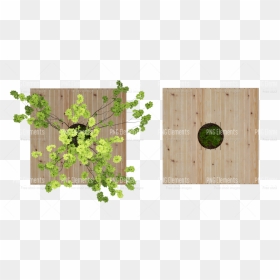 Plank, HD Png Download - plant png image