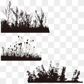 Silhouette Tree Wallpaper - Water Plant Silhouette Png, Transparent Png - water grass png