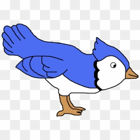 Clip Art Blue Jay, HD Png Download - birds .png