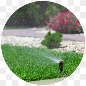 Summer Water Saving Tips - Bewässerung Garten, HD Png Download - water grass png