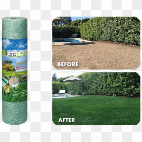 Grotrax Grass, HD Png Download - water grass png