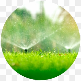 Multifamily Housing - Irrigation, HD Png Download - water grass png