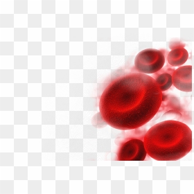 Lingonberry, HD Png Download - blood test png