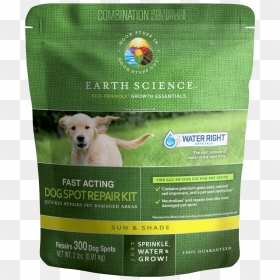 Labrador Retriever, HD Png Download - water grass png
