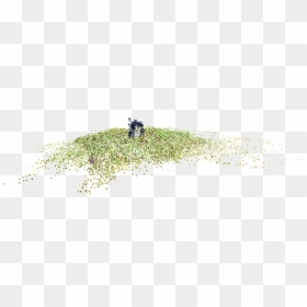 File - - Grass, HD Png Download - water grass png