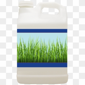 Water Bottle, HD Png Download - water grass png