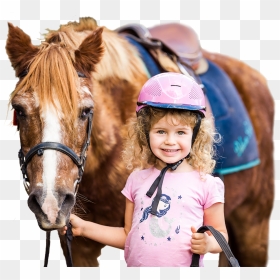 Dalson Park, HD Png Download - horse riding png
