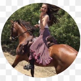 Horseriding In El Rocio - Stallion, HD Png Download - horse riding png