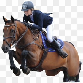 Image Is Not Available - Horse Jumping Png, Transparent Png - horse riding png