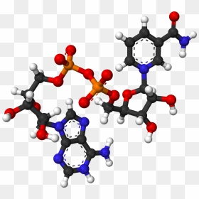 Nad From Xtal 2003 3d Balls - Nicotinamide Adenine Dinucleotide 3d, HD Png Download - color balls png
