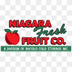 Niagara Fresh Fruit Logo - Mcintosh, HD Png Download - fresh fruits png