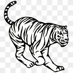 Crouching Tiger Image - Tiger, HD Png Download - tiger in png