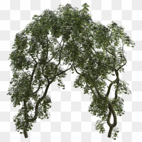 Kunstplant Hedera Groen-bont L 45cm, HD Png Download - 3d trees png