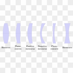 Concavo Convex Or Convexo Concave, HD Png Download - bukey png