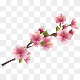 Pink Flowers Png, Transparent Png - floers png