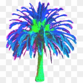 Freetoedit Vaporwave Vaporwavecrew Webpunk Aesthetic - Date Palm Tree Png, Transparent Png - date tree png