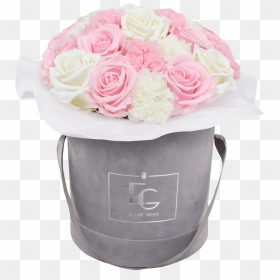 Garden Roses, HD Png Download - rose flower bucket png