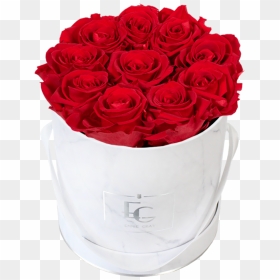 Classic Infinity Rosebox - Emmie Gray, HD Png Download - rose flower bucket png