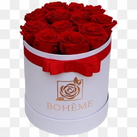 #valentinescards #roses #rose #flowers #floral #red - Floribunda, HD Png Download - rose flower bucket png