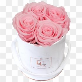 Emmie Gray, HD Png Download - rose flower bucket png