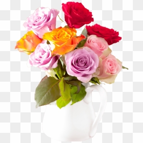 Beautiful Colorful Rose Flowers Bouquet In Vase Pvma7ll - Garden Roses, HD Png Download - rose flower bucket png