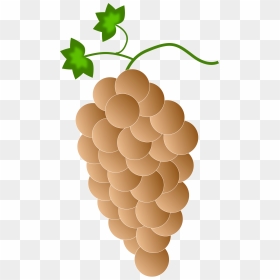 Orange Grapes Clip Arts - Clipart Orange Grapes, HD Png Download - grapes png image