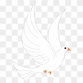 Pigeons And Doves, HD Png Download - white pigeon flying png