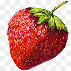 Vintage Strawberry Clipart, HD Png Download - strawberry fruit png