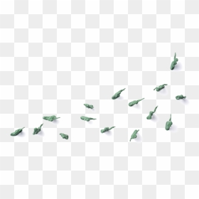 1army, HD Png Download - earrings for men png