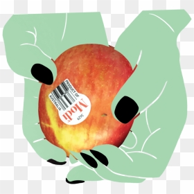 Apple In Hands - Illustration, HD Png Download - modi cartoon png