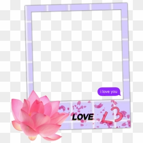 #frame #love #couple #tumblr #flower - Sacred Lotus, HD Png Download - couple frame png