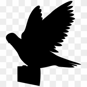 Birds Flying Clipart Png, Transparent Png - pigeon fly png