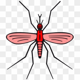Red Mosquito Clipart, HD Png Download - no mosquito png