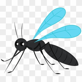 Mosquito Clipart, HD Png Download - no mosquito png
