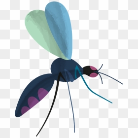 Mosquito Clipart - Net-winged Insects, HD Png Download - no mosquito png