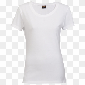 Ladies Plain Adult - Blank Womens White T Shirt, HD Png Download - plain t shirts png