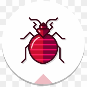 Circle Bedbug Color - Weevil, HD Png Download - red color png