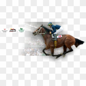 Cusiconage - Belmont Stakes, HD Png Download - kentucky derby logo png