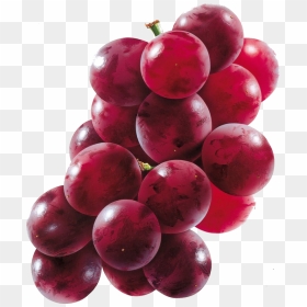 Thumb Image - Muscadine Grape Png, Transparent Png - uva png