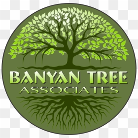 Logo, HD Png Download - banyan png