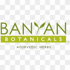 Banyan Botanicals Logo, HD Png Download - banyan png