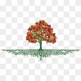 Swing Clipart Banyan Tree - Tree With Roots Png Hd, Transparent Png - banyan png